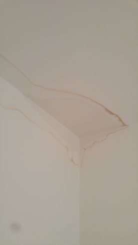 Leak In Ceiling From Bathroom Above